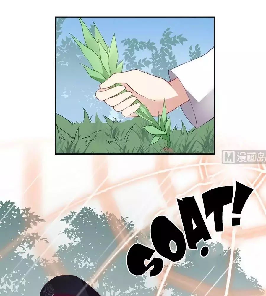 Manh Sư Tại Thượng Chapter 167 - 41