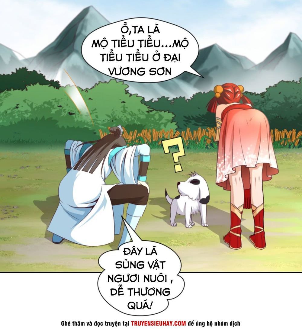 Chiếm Cái Đỉnh Núi Làm Đại Vương Chapter 21 - 4