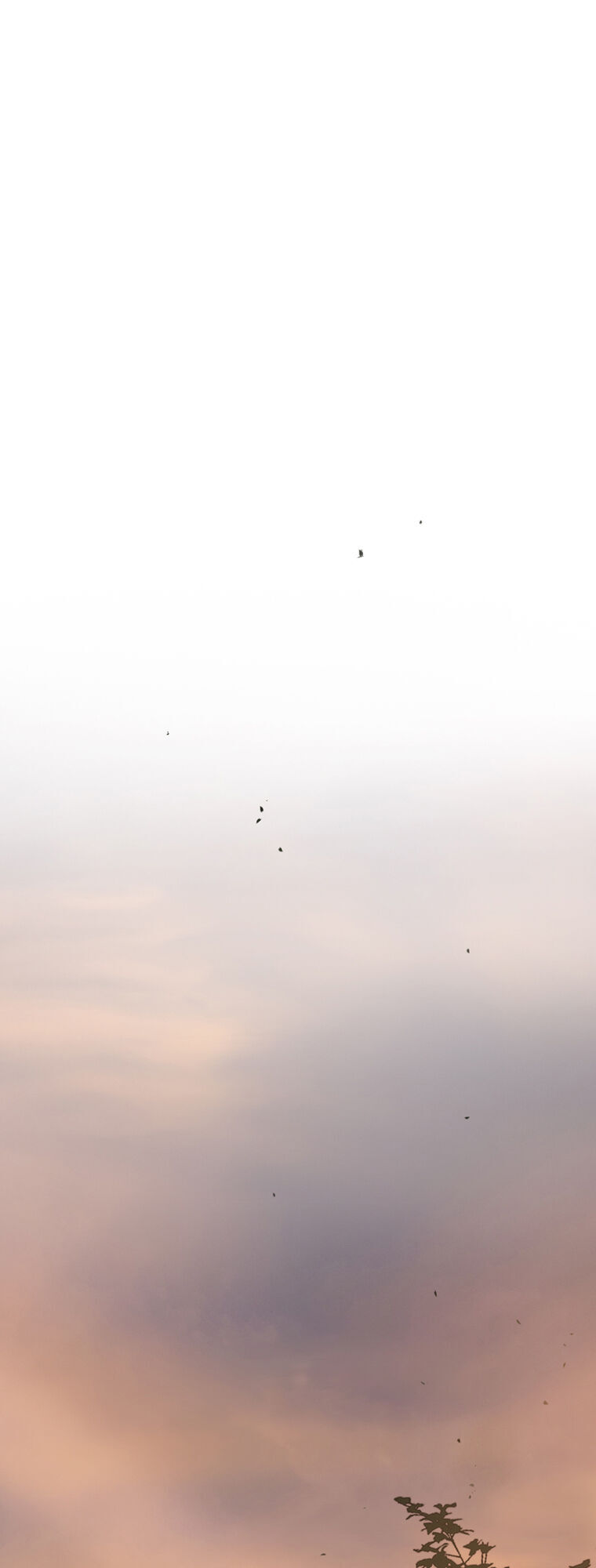 Mùa Đông Tăm Tối Chapter 24 - 22