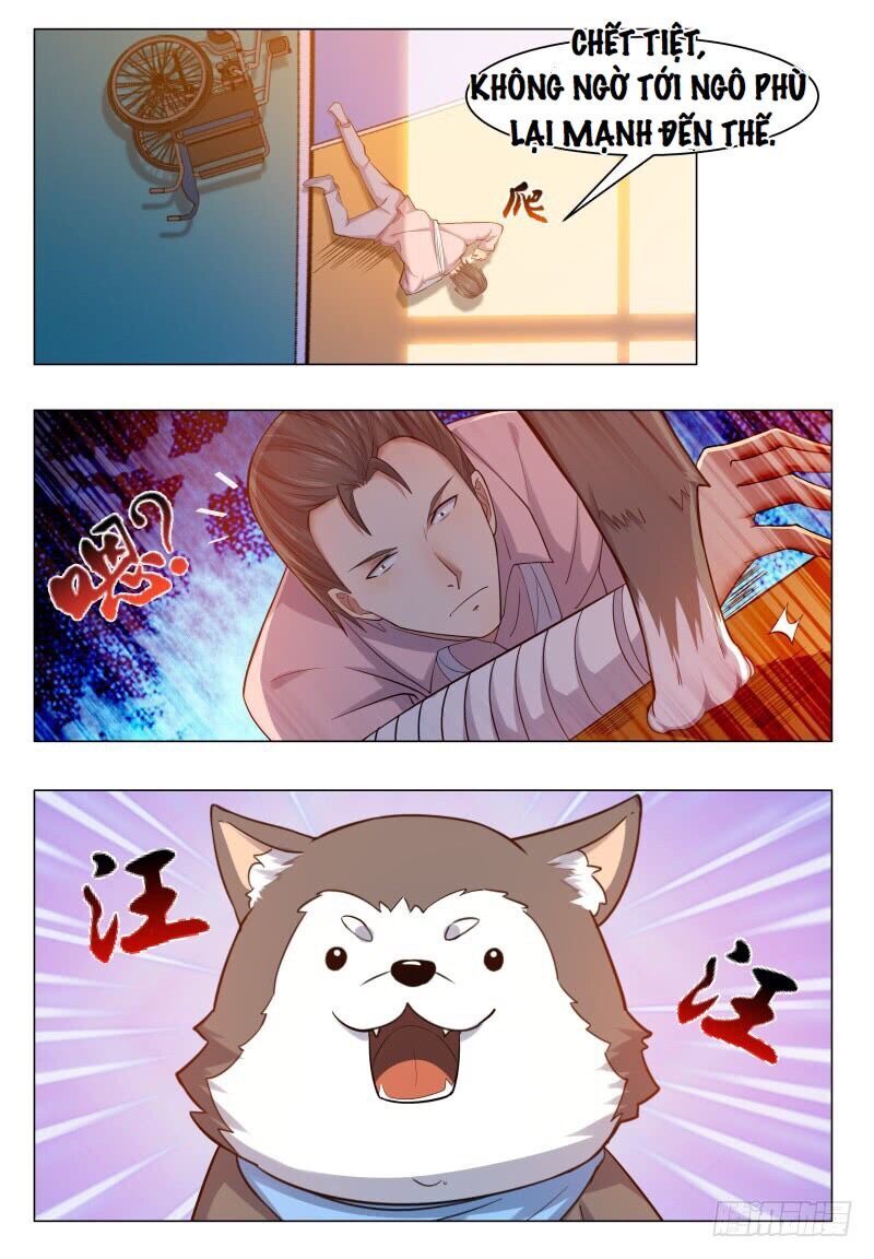 Tối Cường Thần Vương Chapter 31 - 8