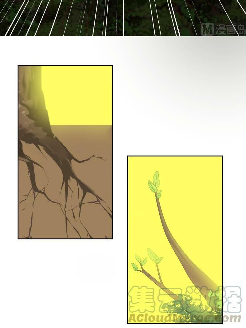 Trên Người Ta Có Một Con Rồng Chapter 174 - 6