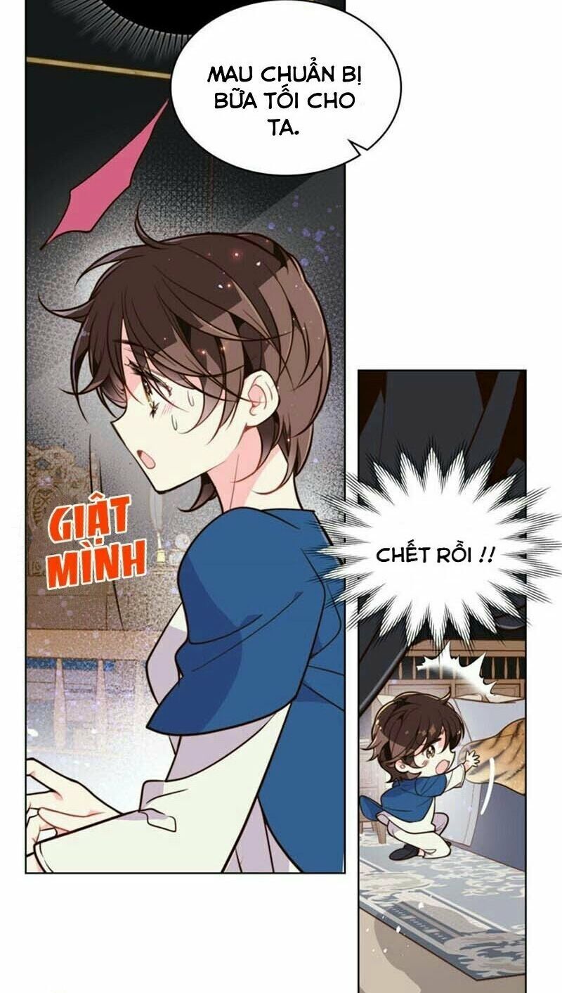 Công Chúa Chloe Chapter 24 - 52