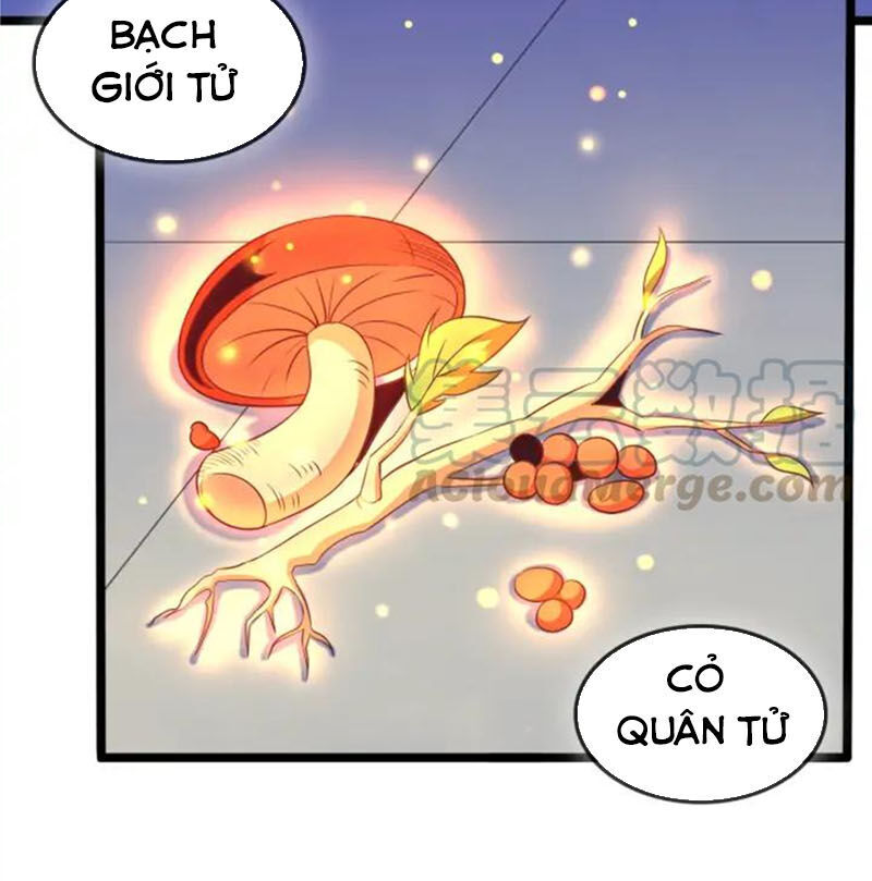 Thôn Phệ Một Thế Giới Tu Tiên Chapter 51 - 34