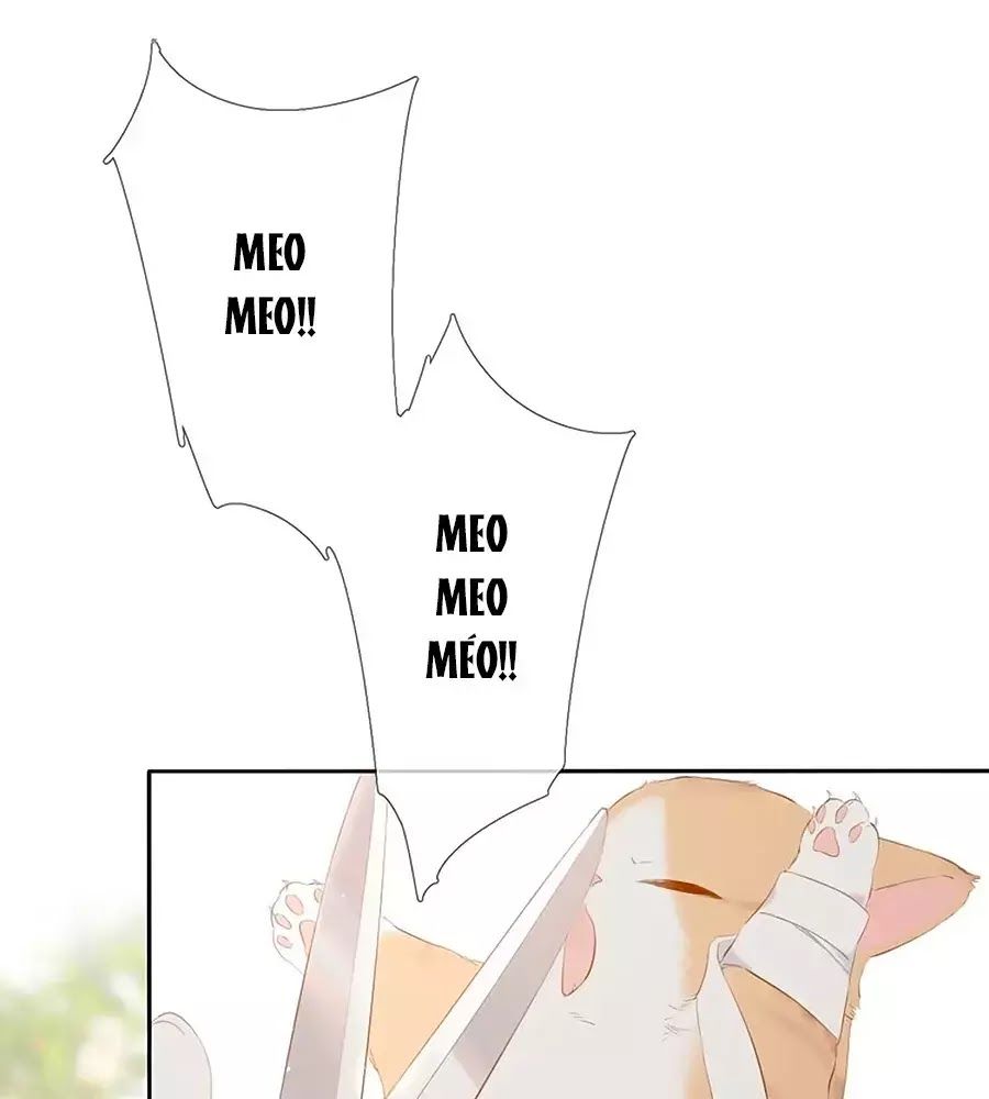 Lại Gặp Được Em Chapter 25.6 - 19