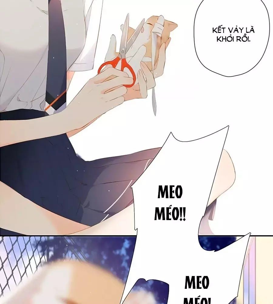 Lại Gặp Được Em Chapter 25.6 - 21