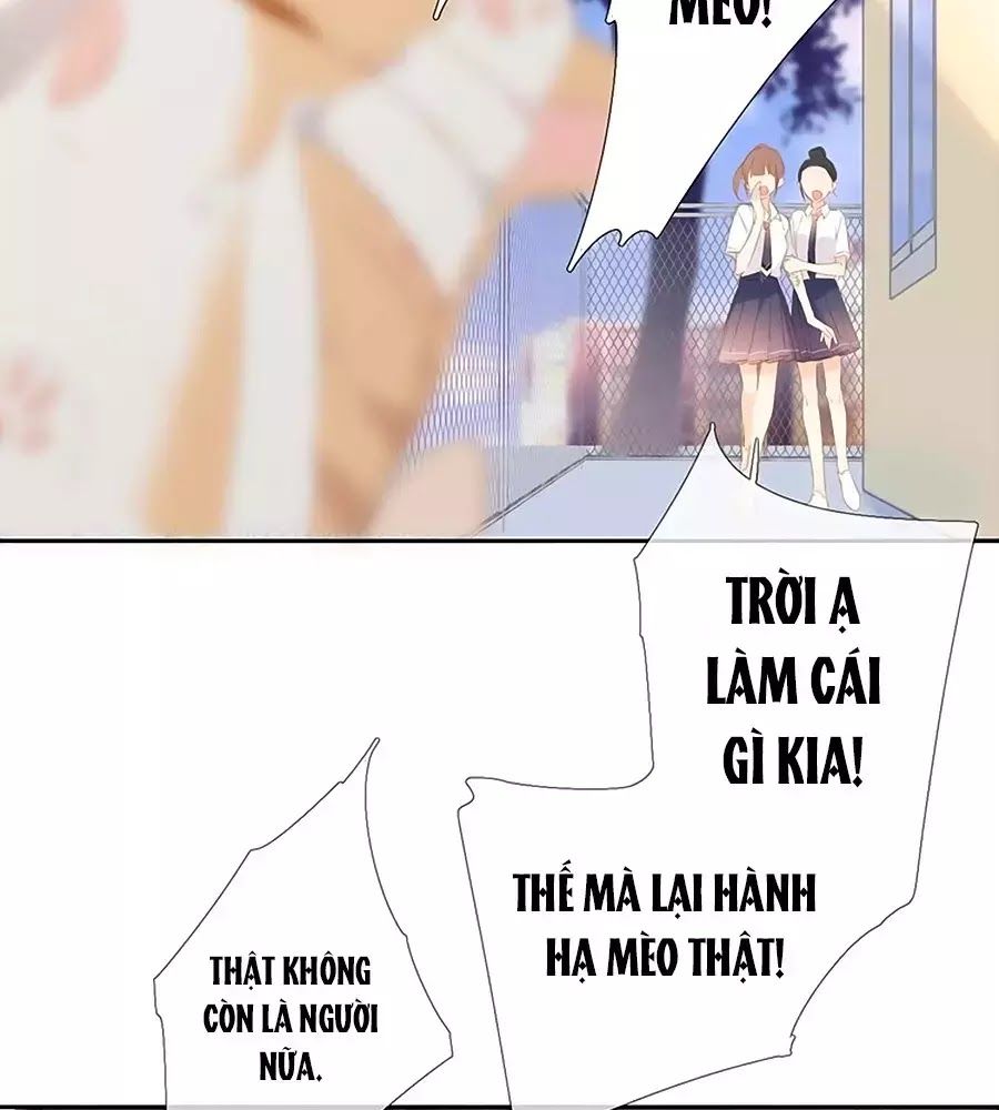 Lại Gặp Được Em Chapter 25.6 - 22