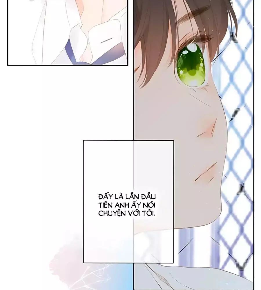 Lại Gặp Được Em Chapter 25.6 - 38