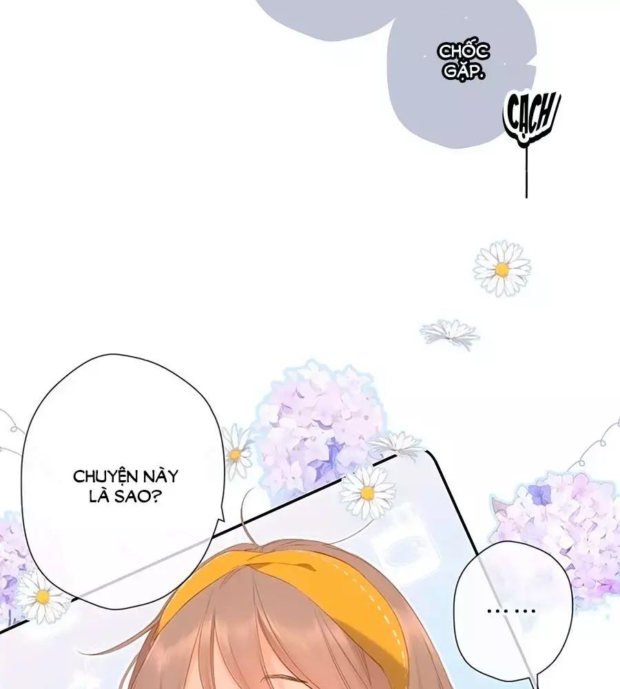 Lại Gặp Được Em Chapter 28 - 25