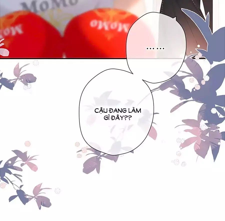 Lại Gặp Được Em Chapter 29 - 36