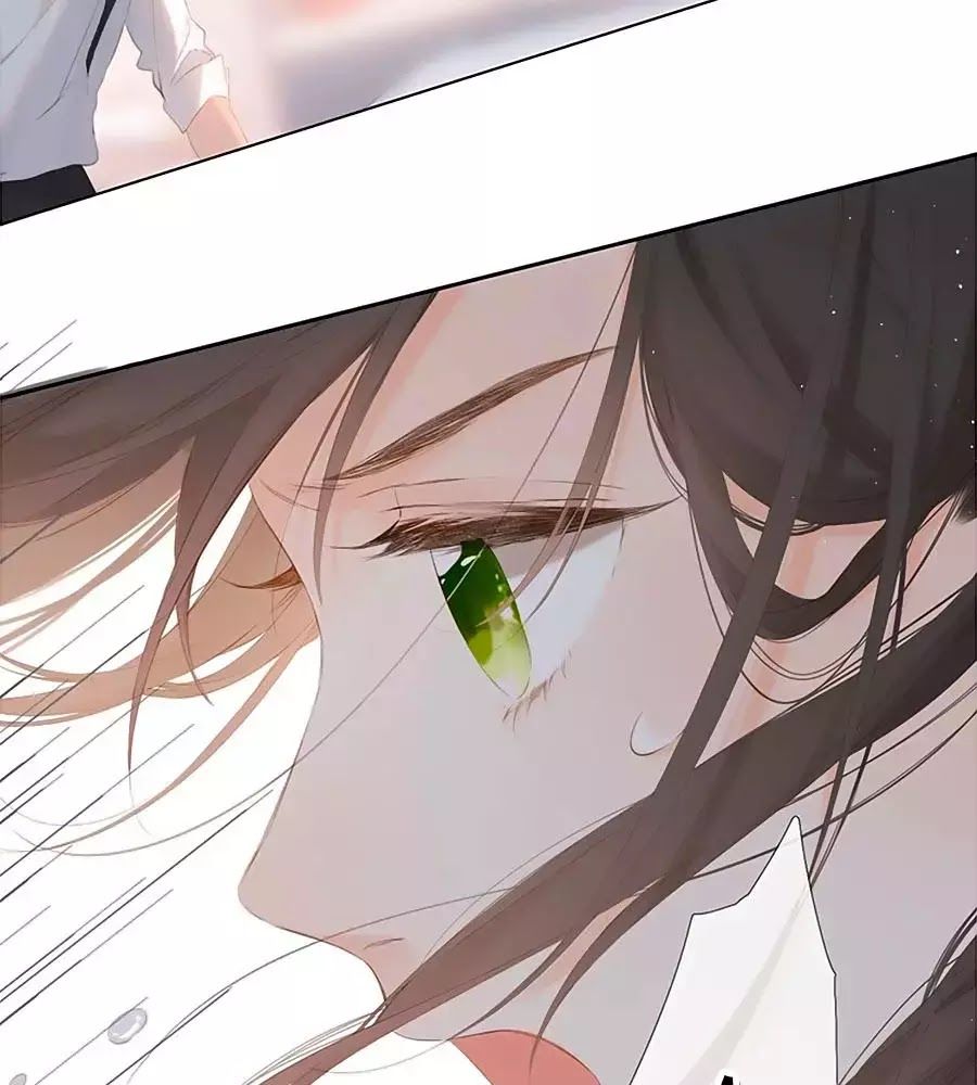 Lại Gặp Được Em Chapter 29 - 47