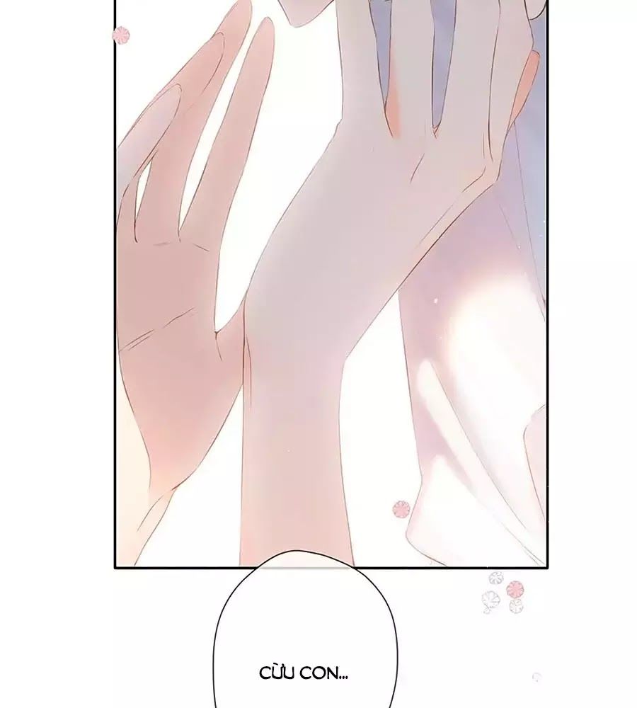 Lại Gặp Được Em Chapter 29 - 58