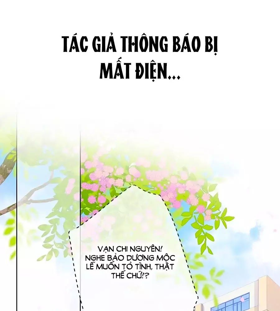 Lại Gặp Được Em Chapter 32.5 - 1