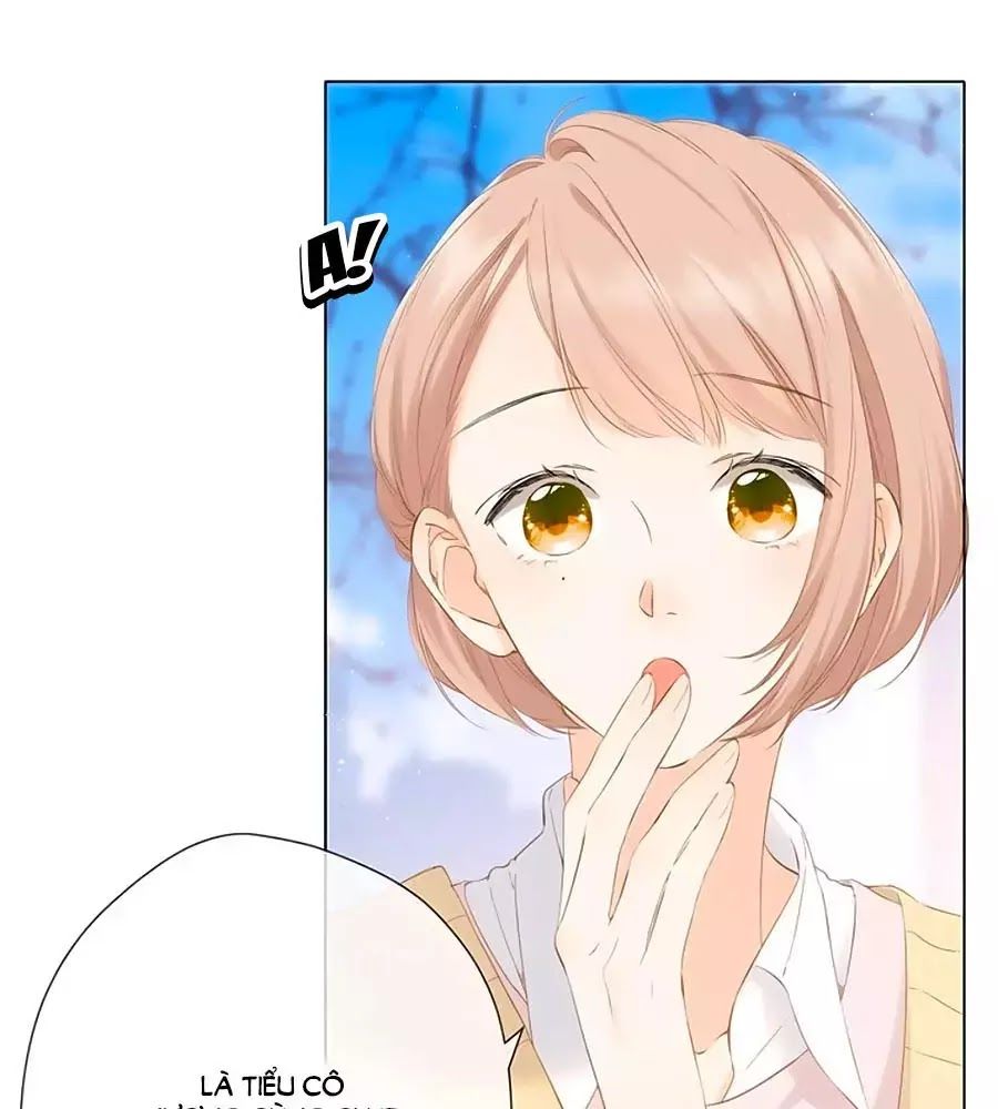 Lại Gặp Được Em Chapter 33 - 14