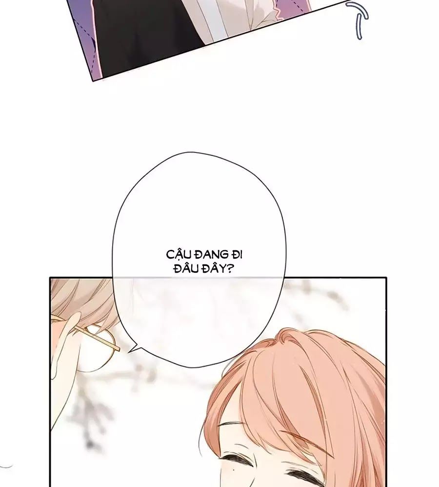 Lại Gặp Được Em Chapter 33 - 16