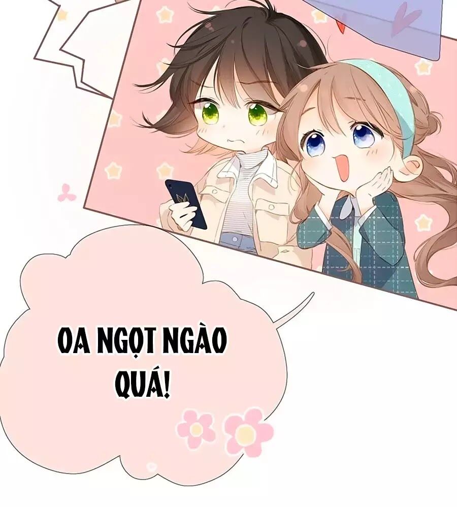 Lại Gặp Được Em Chapter 41 - 11