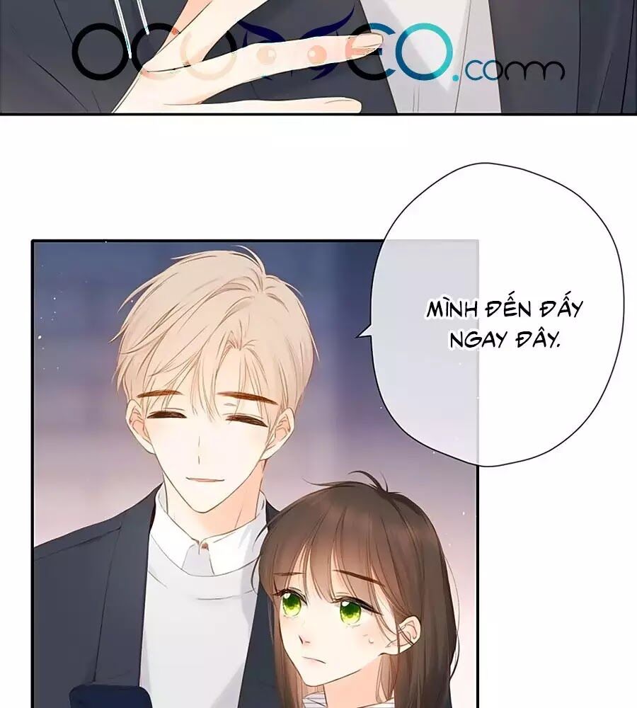 Lại Gặp Được Em Chapter 41 - 14