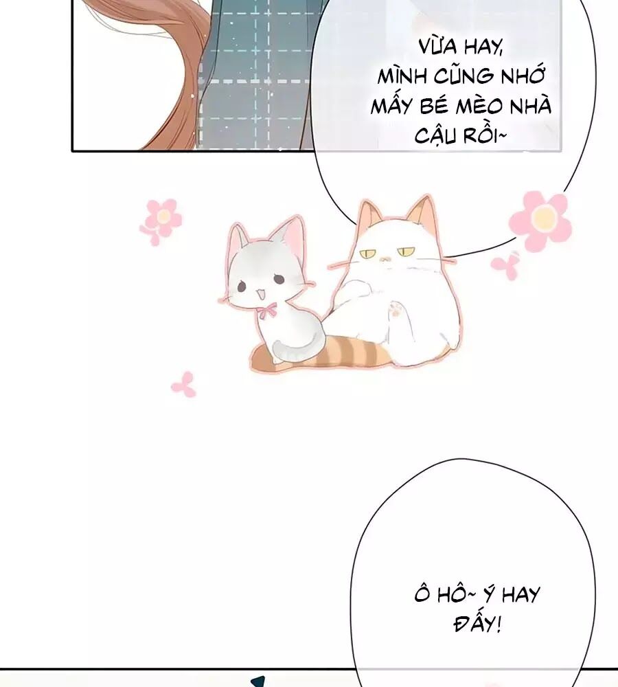 Lại Gặp Được Em Chapter 41 - 31