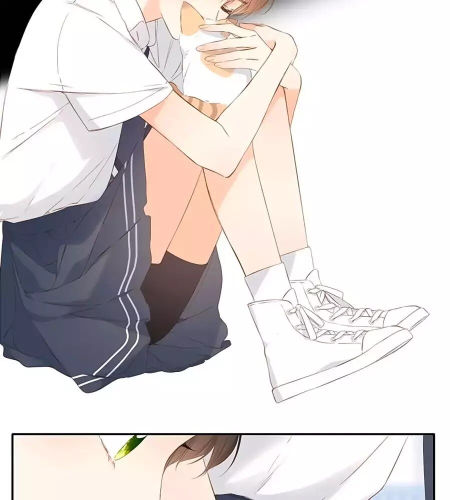 Lại Gặp Được Em Chapter 42 - 20