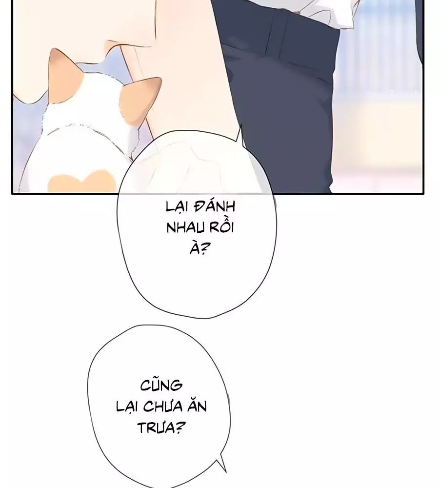 Lại Gặp Được Em Chapter 42 - 21