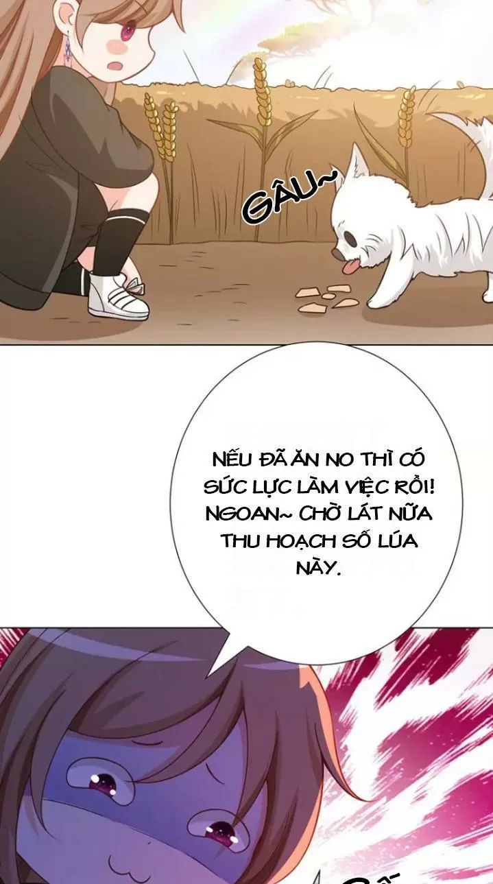 Quy Luật Tình Yêu Ở Mạt Thế Chapter 141 - 17