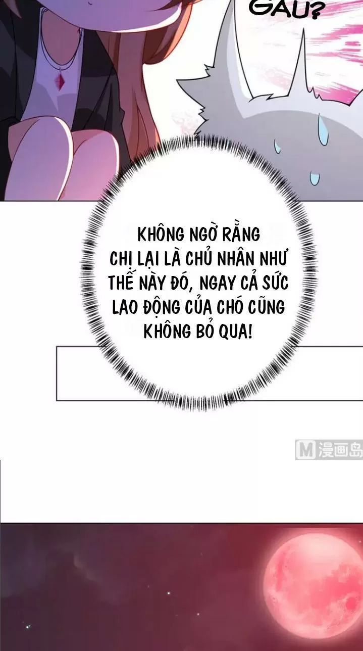 Quy Luật Tình Yêu Ở Mạt Thế Chapter 141 - 18
