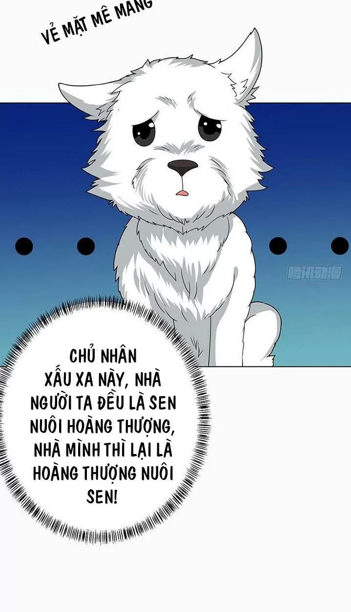 Quy Luật Tình Yêu Ở Mạt Thế Chapter 189 - 24