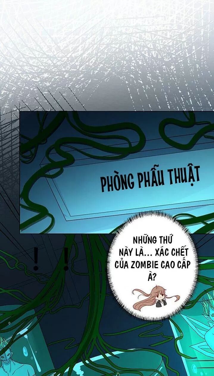 Quy Luật Tình Yêu Ở Mạt Thế Chapter 243 - 2