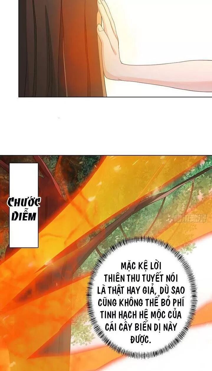 Quy Luật Tình Yêu Ở Mạt Thế Chapter 244 - 8