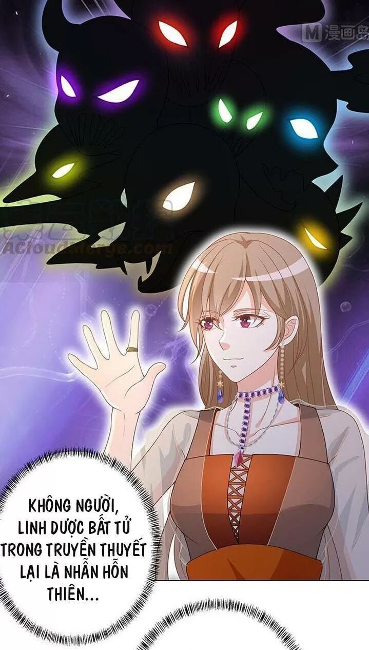 Quy Luật Tình Yêu Ở Mạt Thế Chapter 245 - 11