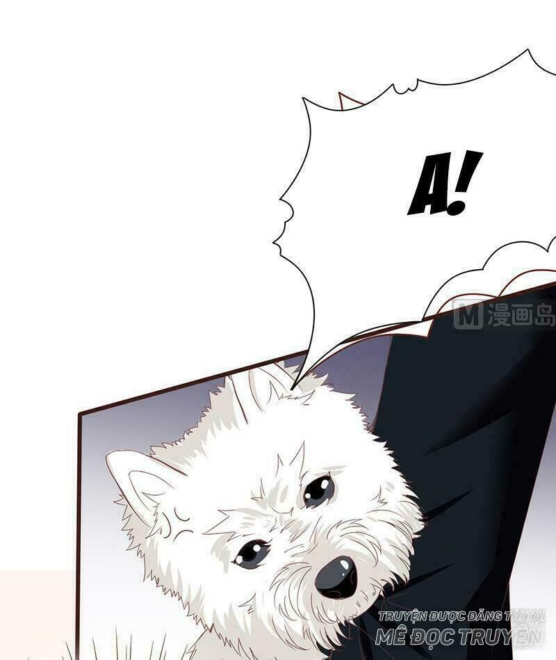 Quy Luật Tình Yêu Ở Mạt Thế Chapter 10 - 6