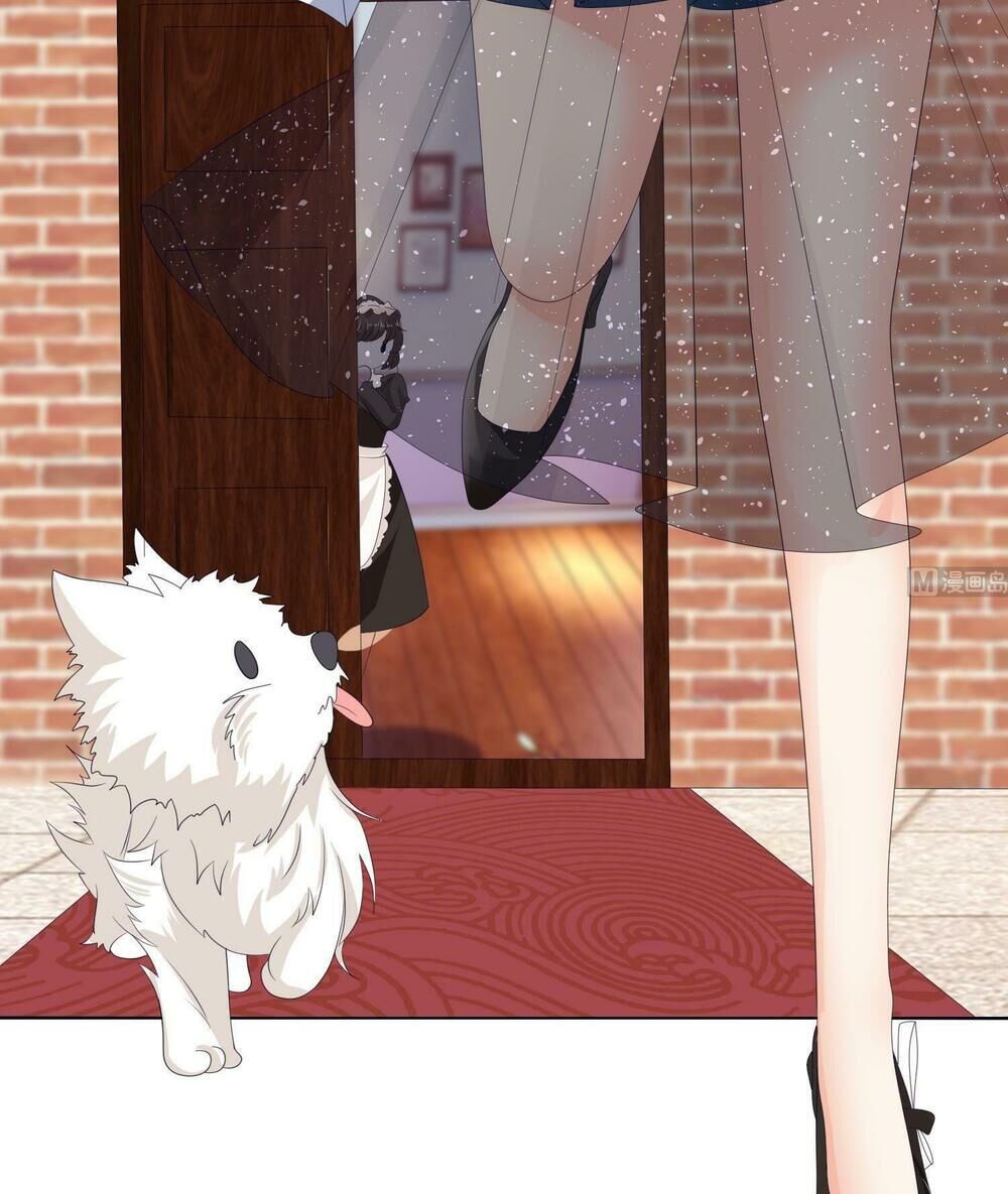 Quy Luật Tình Yêu Ở Mạt Thế Chapter 11 - 19