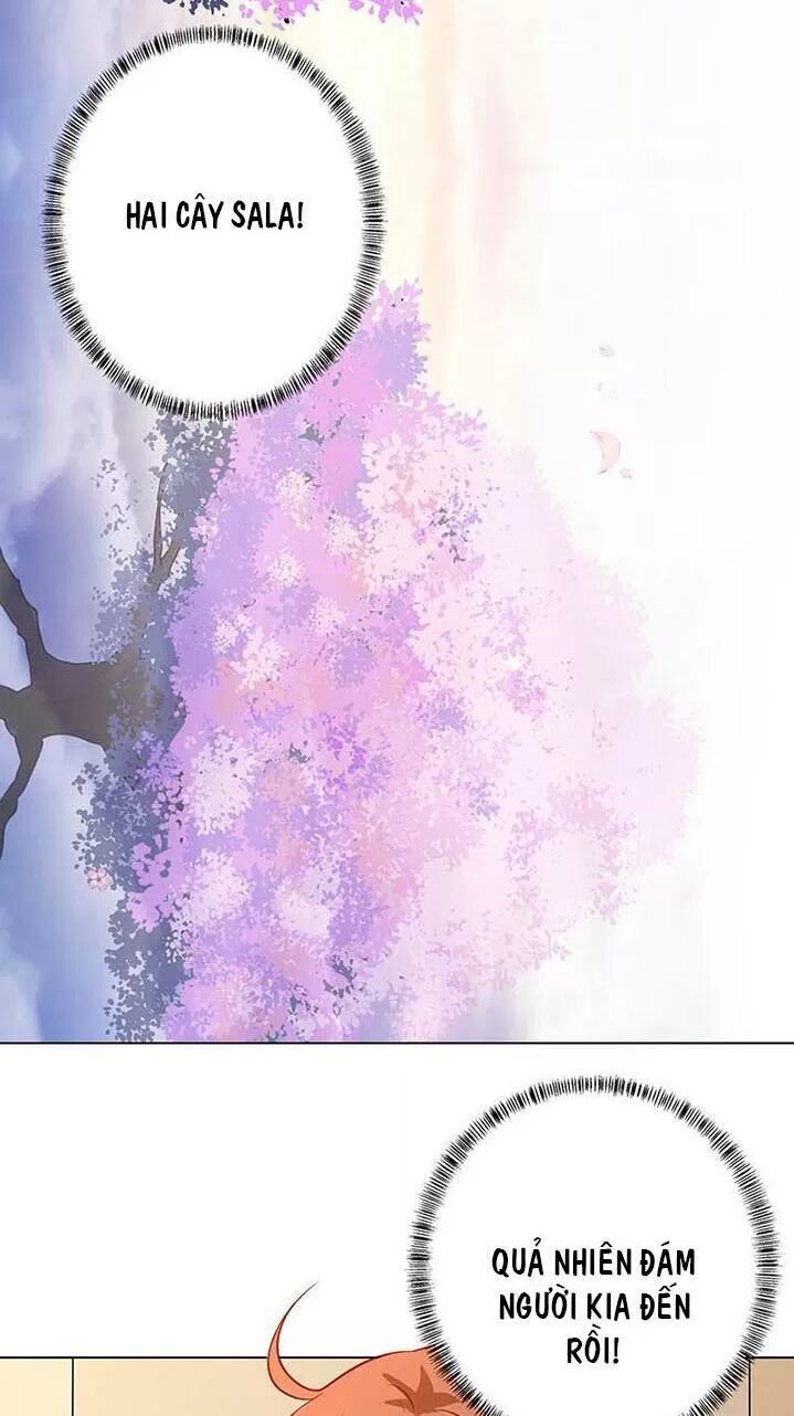 Quy Luật Tình Yêu Ở Mạt Thế Chapter 223 - 14