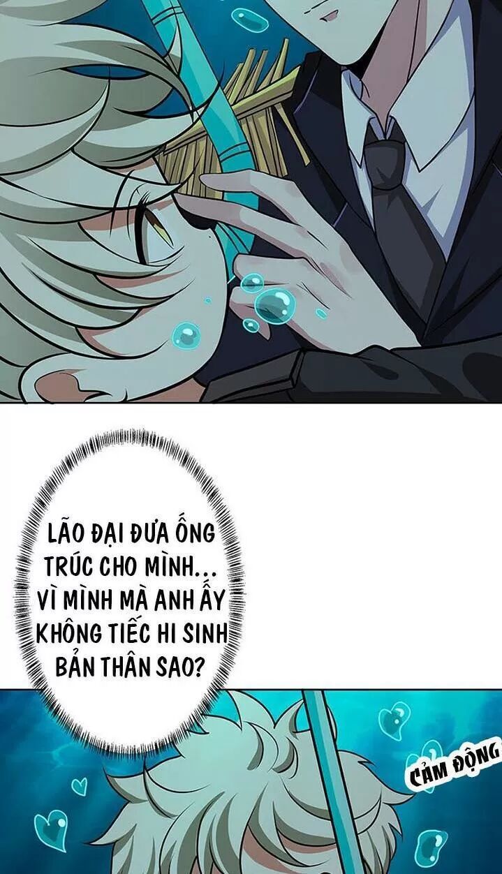 Quy Luật Tình Yêu Ở Mạt Thế Chapter 225 - 16