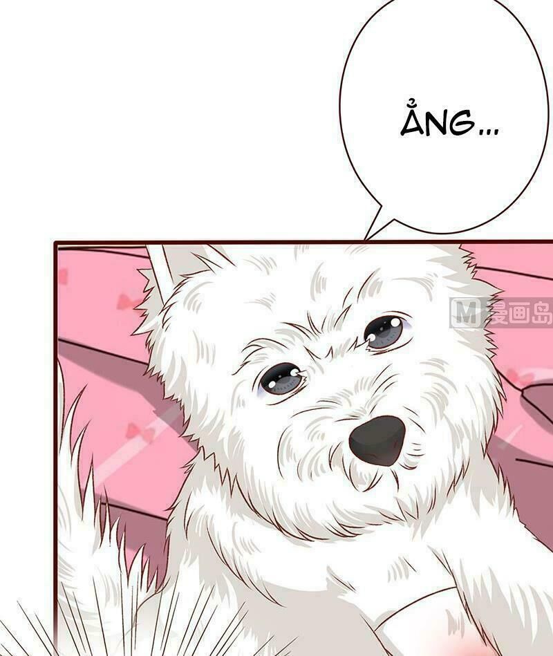 Quy Luật Tình Yêu Ở Mạt Thế Chapter 4 - 12