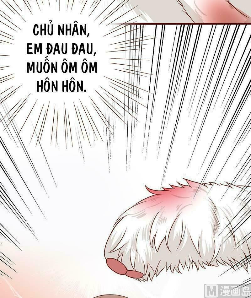 Quy Luật Tình Yêu Ở Mạt Thế Chapter 4 - 13