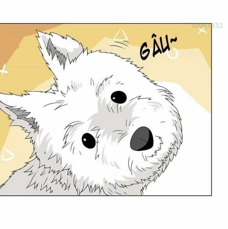 Quy Luật Tình Yêu Ở Mạt Thế Chapter 74 - 19