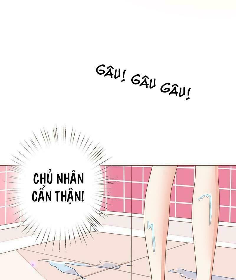 Quy Luật Tình Yêu Ở Mạt Thế Chapter 9 - 30