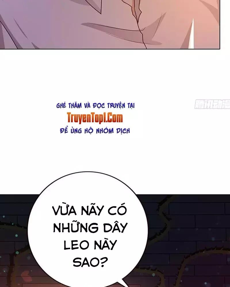 Quy Luật Tình Yêu Ở Mạt Thế Chapter 97 - 28