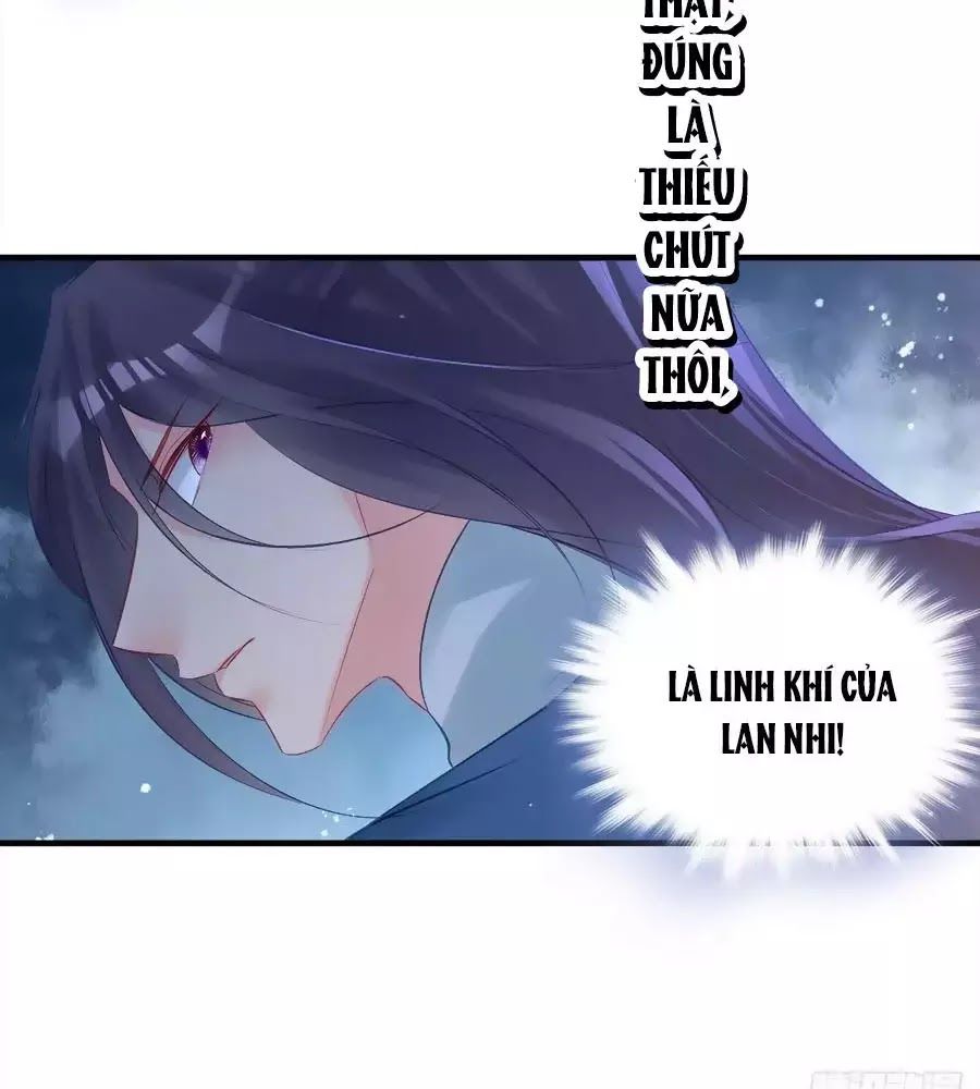 Liệt Hỏa Cuồng Phi: Vương Gia Thú Tính Muốn Sủng Chapter 70 - 6