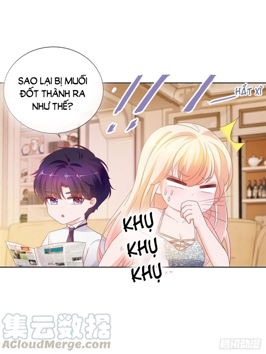 Ẩn Hôn 100%: Chọc Tức Vợ Yêu Mua Một Tặng Một Chapter 102 - 22