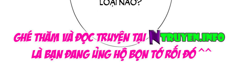 Ẩn Hôn 100%: Chọc Tức Vợ Yêu Mua Một Tặng Một Chapter 104 - 21