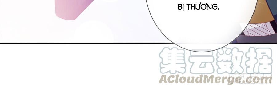 Ẩn Hôn 100%: Chọc Tức Vợ Yêu Mua Một Tặng Một Chapter 107 - 27