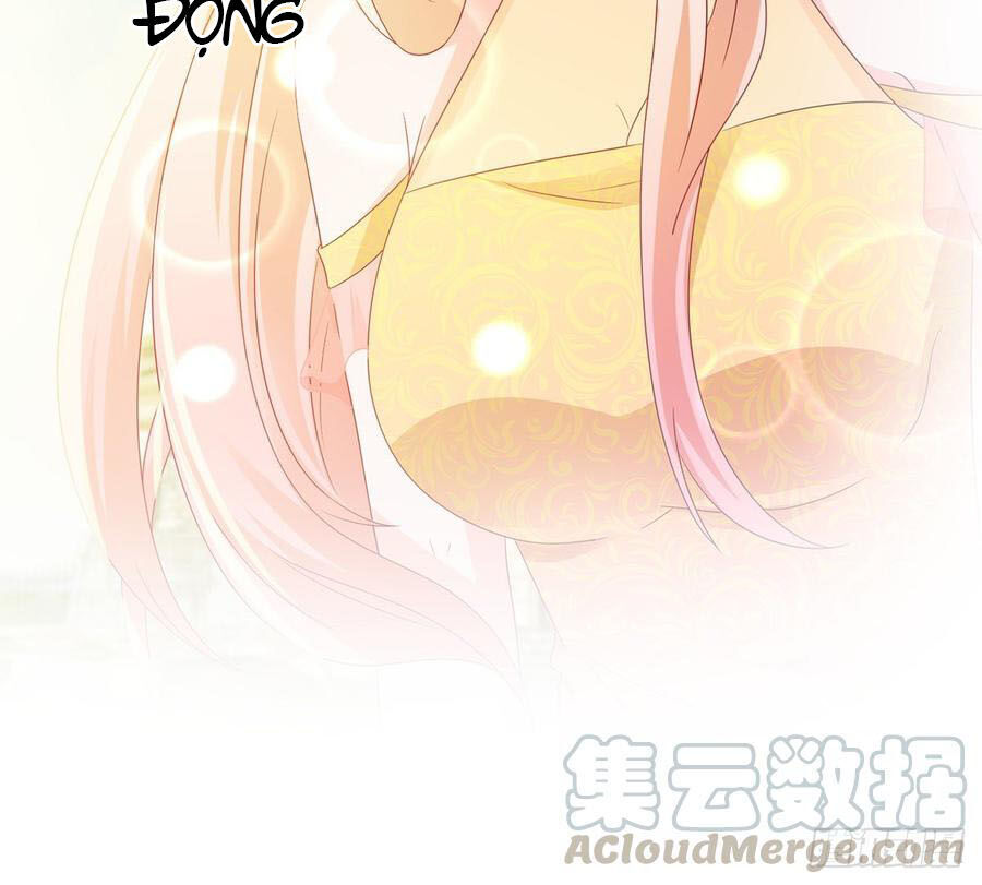 Ẩn Hôn 100%: Chọc Tức Vợ Yêu Mua Một Tặng Một Chapter 124 - 26