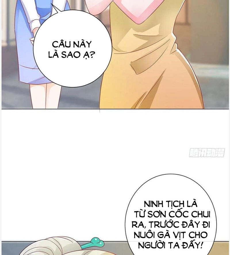 Ẩn Hôn 100%: Chọc Tức Vợ Yêu Mua Một Tặng Một Chapter 158 - 25