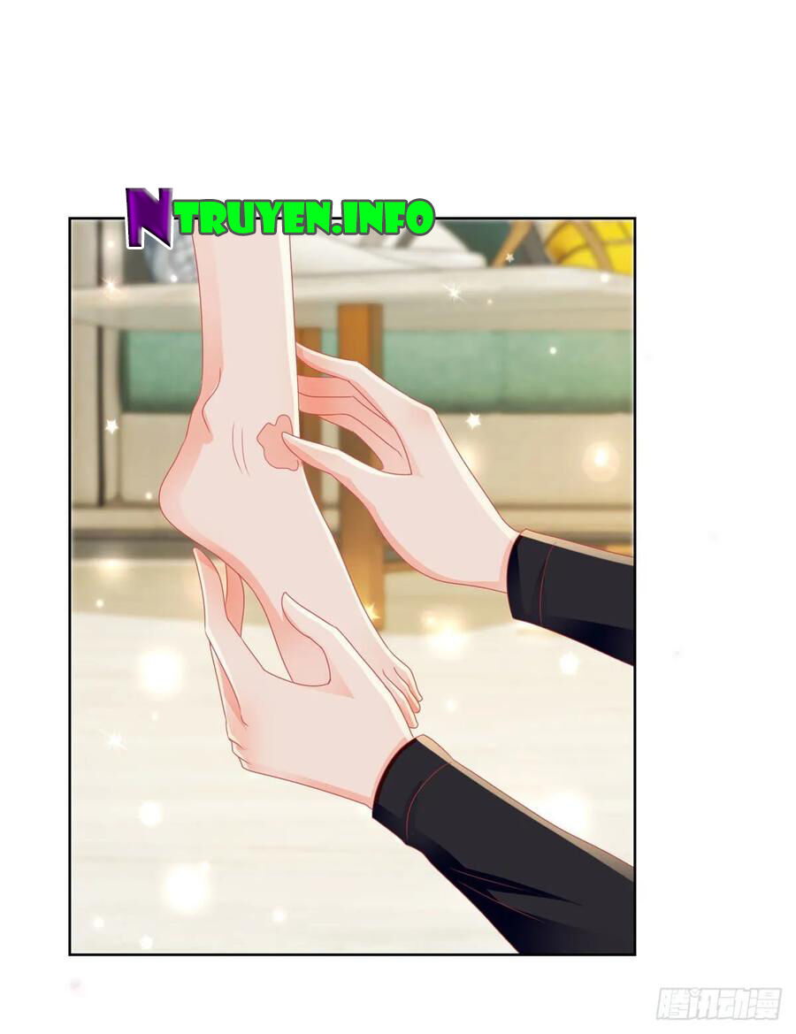 Ẩn Hôn 100%: Chọc Tức Vợ Yêu Mua Một Tặng Một Chapter 169 - 11