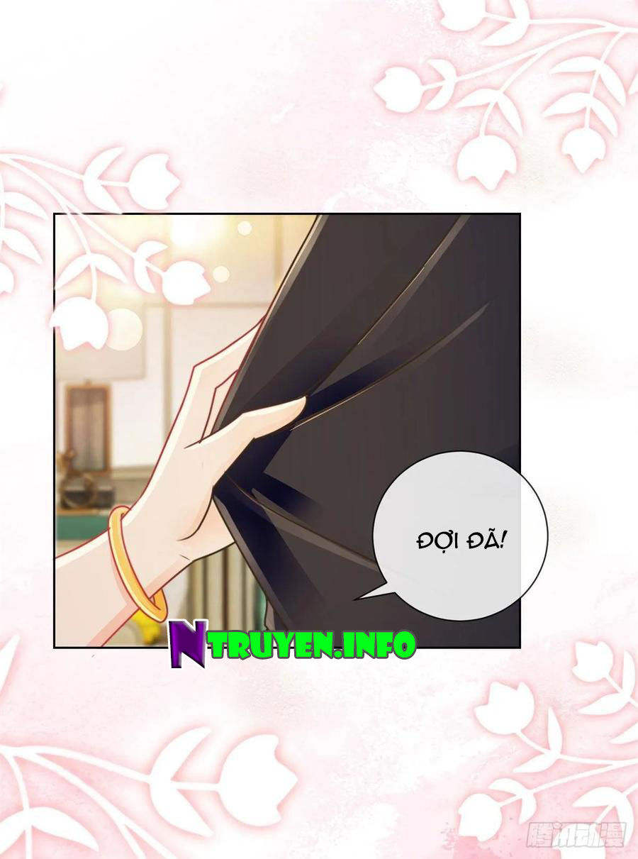 Ẩn Hôn 100%: Chọc Tức Vợ Yêu Mua Một Tặng Một Chapter 169 - 8