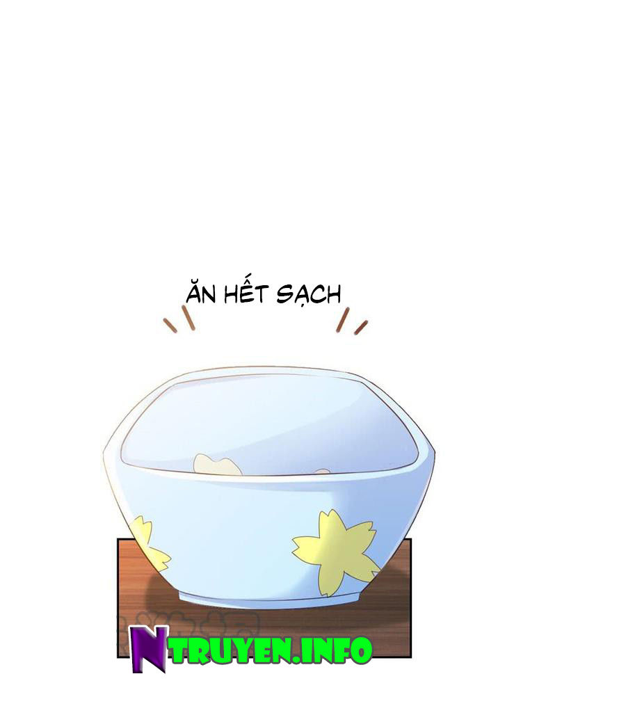 Ẩn Hôn 100%: Chọc Tức Vợ Yêu Mua Một Tặng Một Chapter 73 - 43