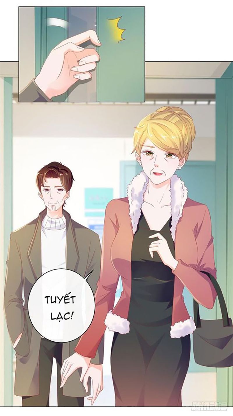 Ẩn Hôn 100%: Chọc Tức Vợ Yêu Mua Một Tặng Một Chapter 82 - 6