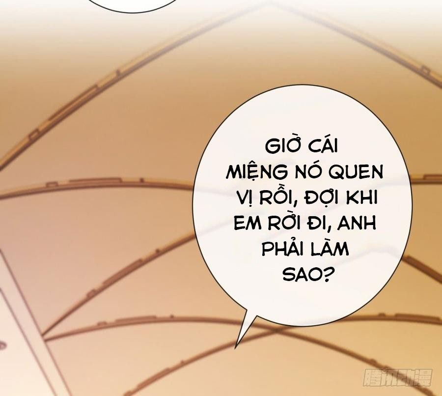 Ẩn Hôn 100%: Chọc Tức Vợ Yêu Mua Một Tặng Một Chapter 86 - 26