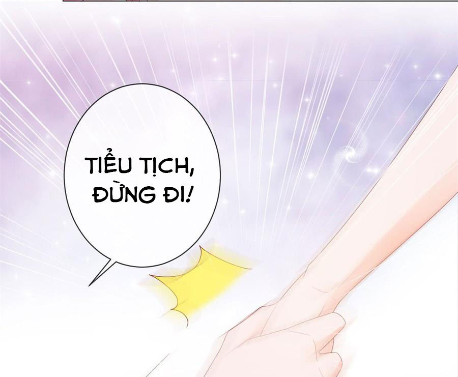 Ẩn Hôn 100%: Chọc Tức Vợ Yêu Mua Một Tặng Một Chapter 94 - 14